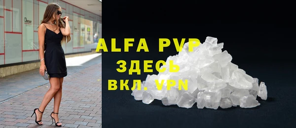 прущие грибы Богданович
