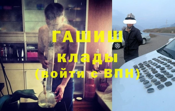 прущие грибы Богданович