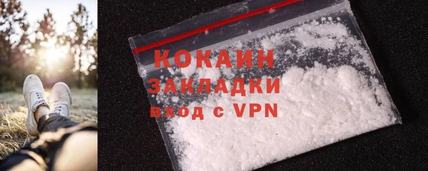 прущие грибы Богданович
