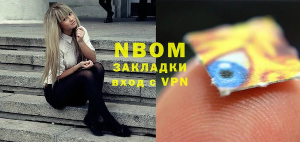 прущие грибы Богданович
