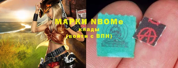 прущие грибы Богданович