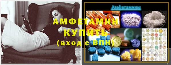 прущие грибы Богданович