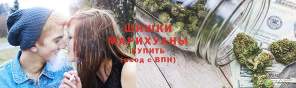 прущие грибы Богданович
