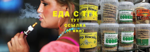 прущие грибы Богданович