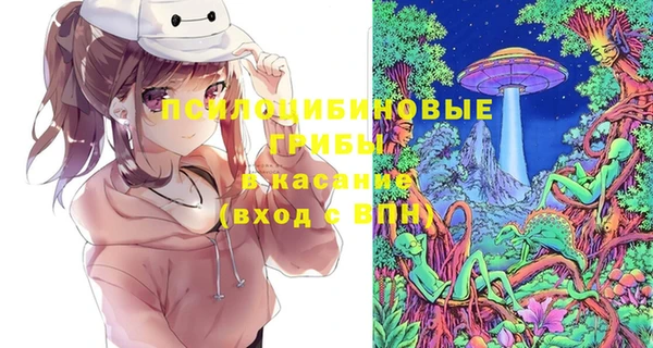 прущая мука Богородицк