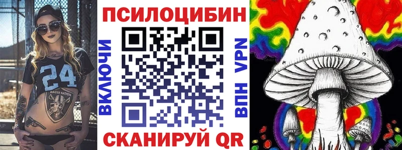 купить закладку  Среднеуральск  Псилоцибиновые грибы Cubensis 